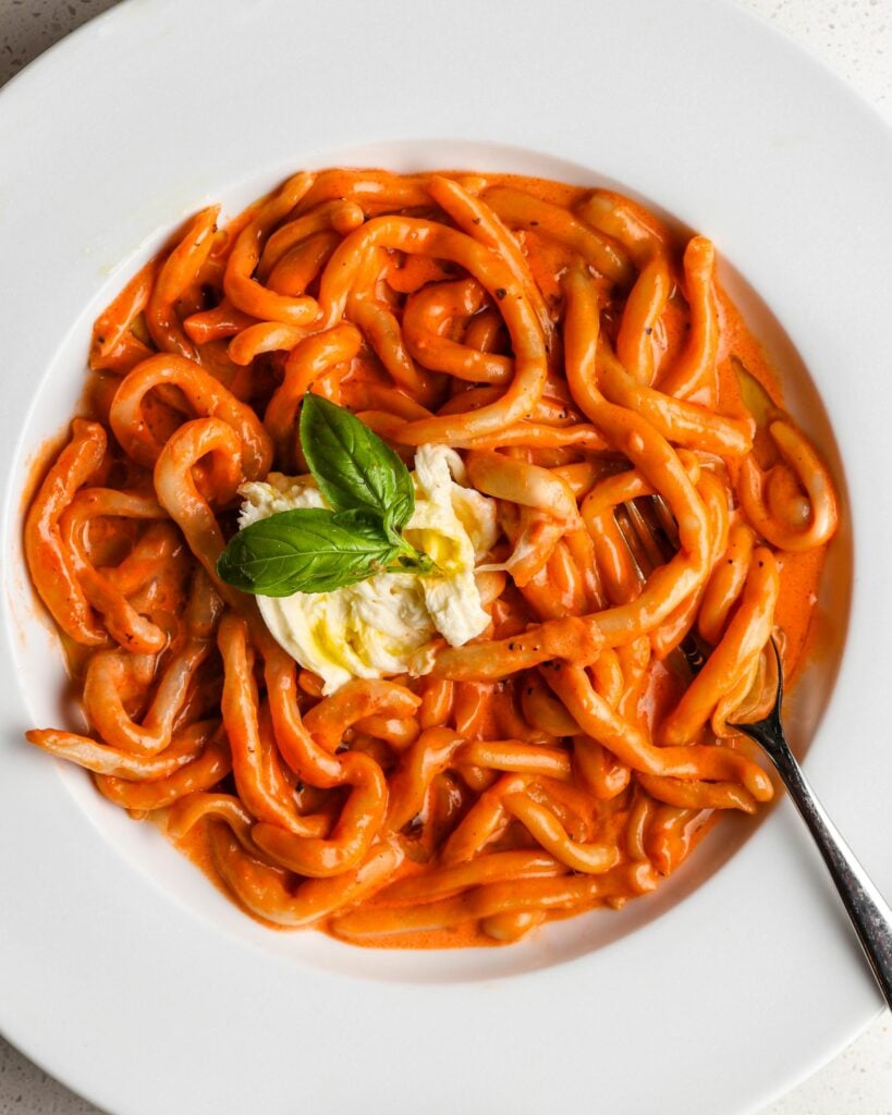 A white plate with pici pasta in a creamy tomato pasta sauce, burrata and fresh basil. A fork in the pasta.