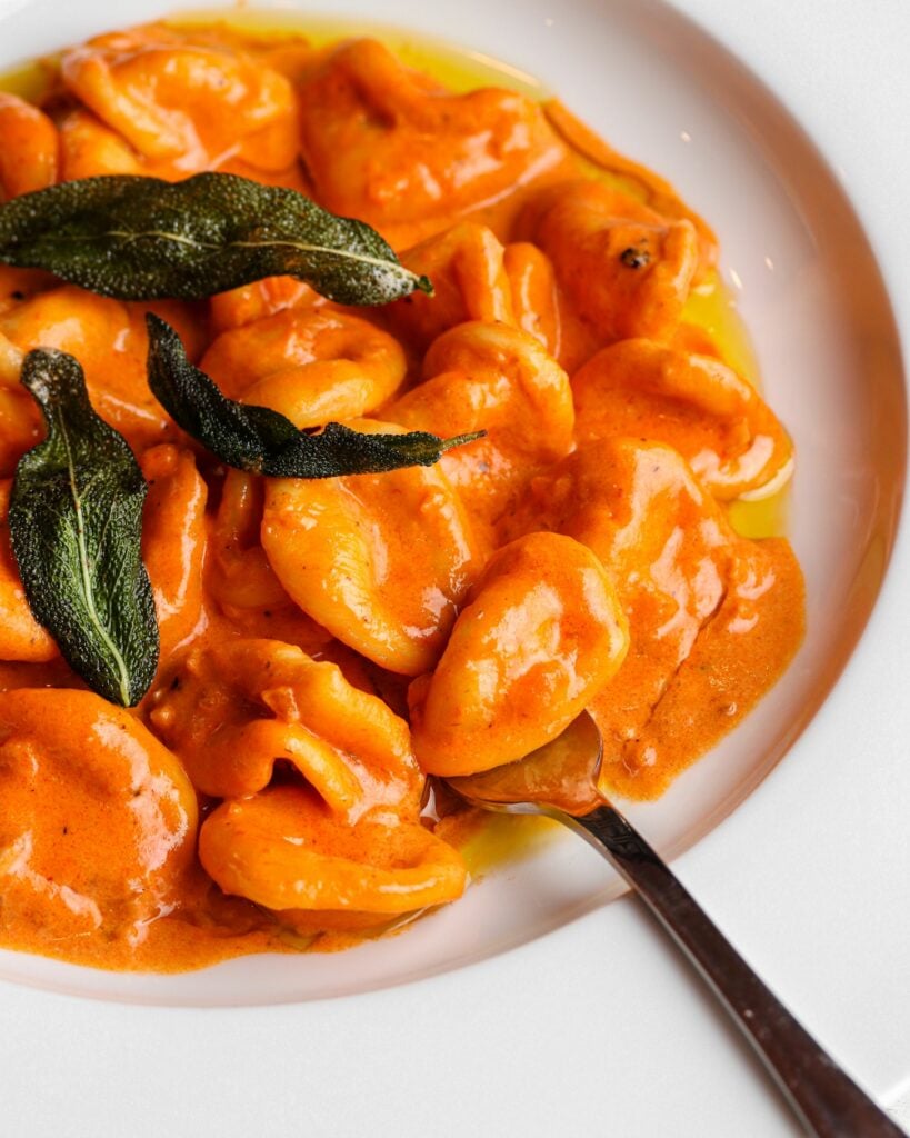 Cooked orecchiette with a creamy tomato pasta sauce on a white plate with fork