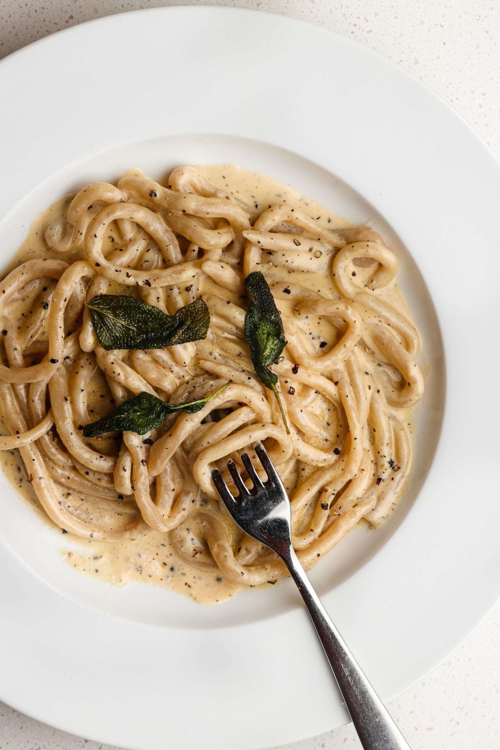 Easy creamy pepper pasta sauce - The Burnt Butter Table