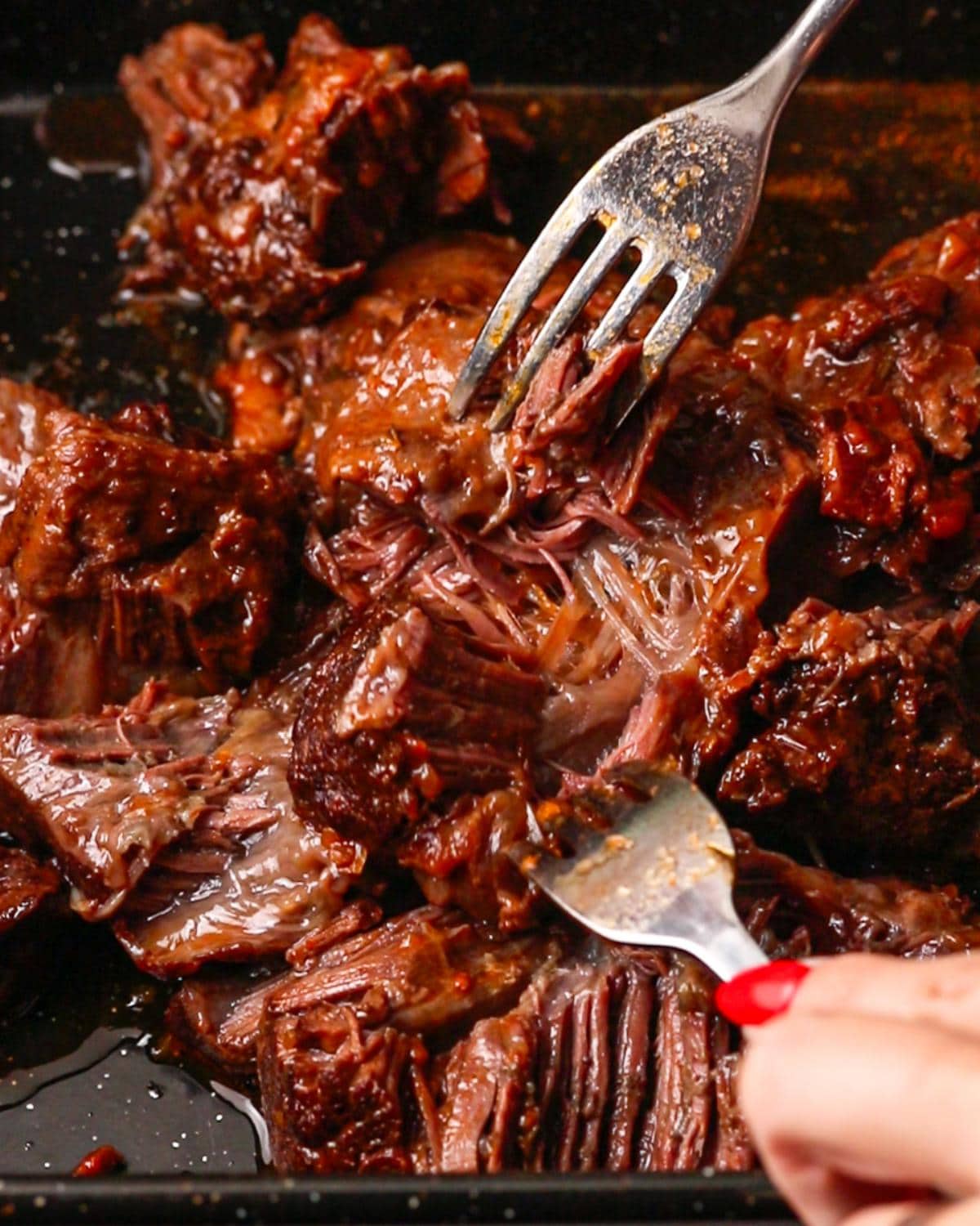 Shredding slow-cooked beef cheeks with two forks.