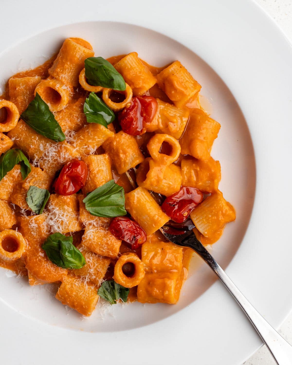 White plate with rigatoni in a roasted tomato sauce. Fork resting in and basil leaves scattered.