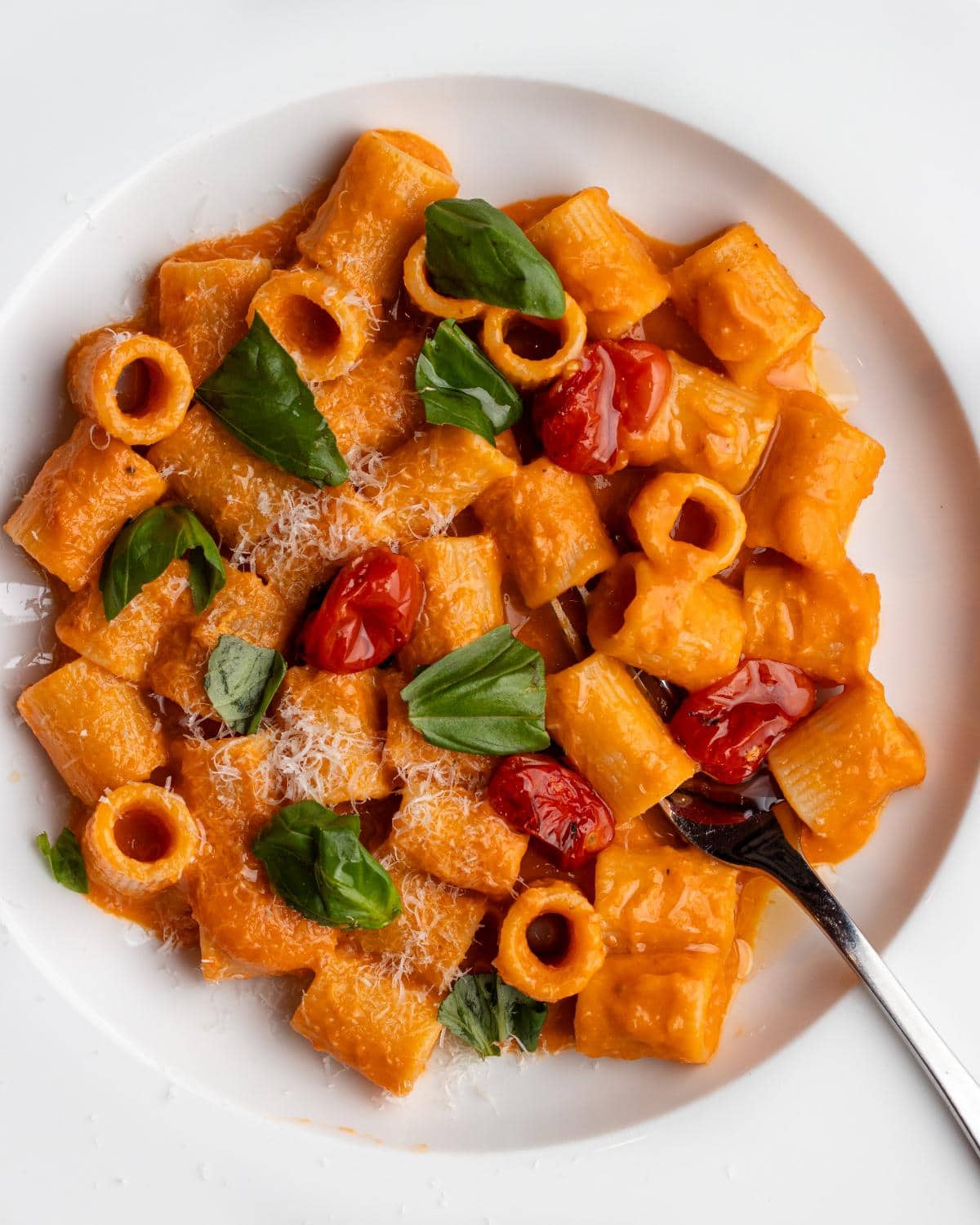 White plate with rigatoni in a roasted tomato sauce. Torn bail leaves on top and a fork resting.
