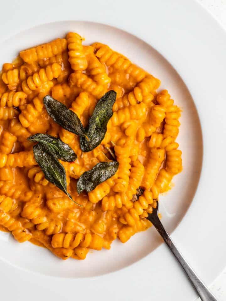 White plate with fusilli pasta in a creamy pumpkin sauce. Crisp sage on top with a fork resting into pasta.