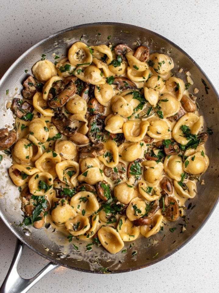 Fry pan with orecchiette in a creamy mushroom sauce on a bench top.