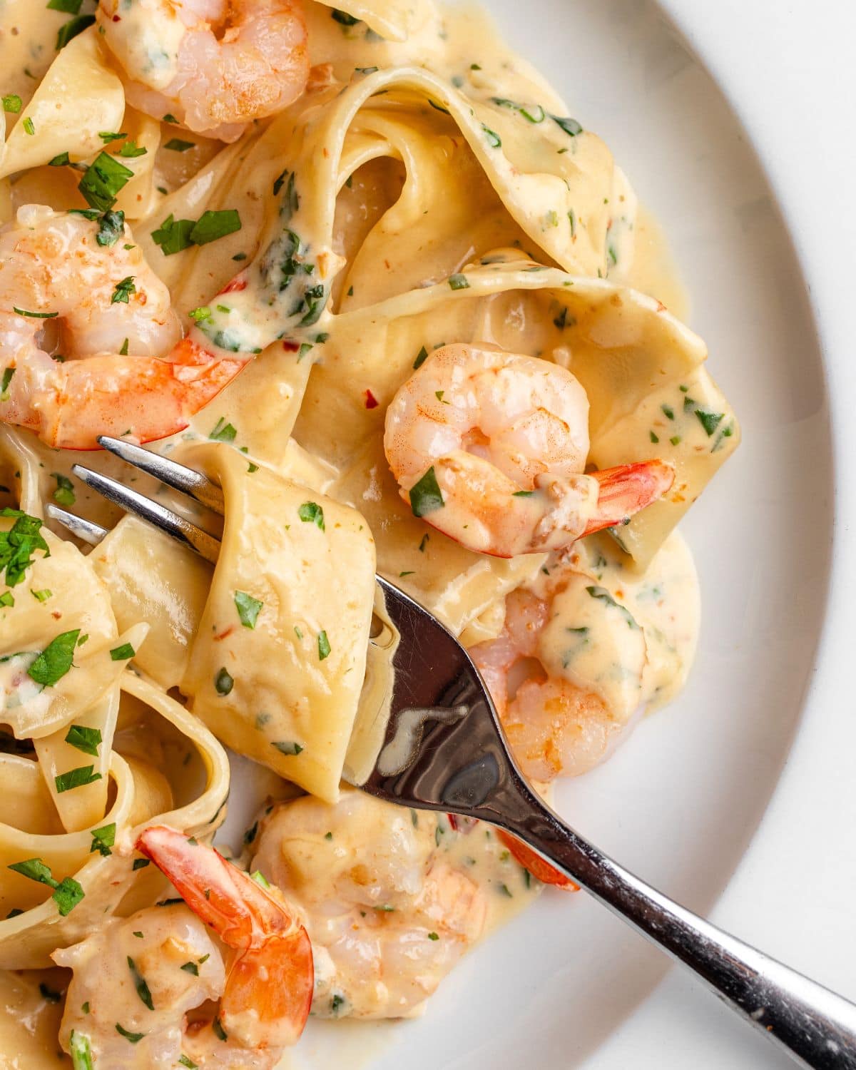 White plate with pappardelle pasta in a creamy shrimp pasta sauce. Fork resting in with noodles wrapped around it.