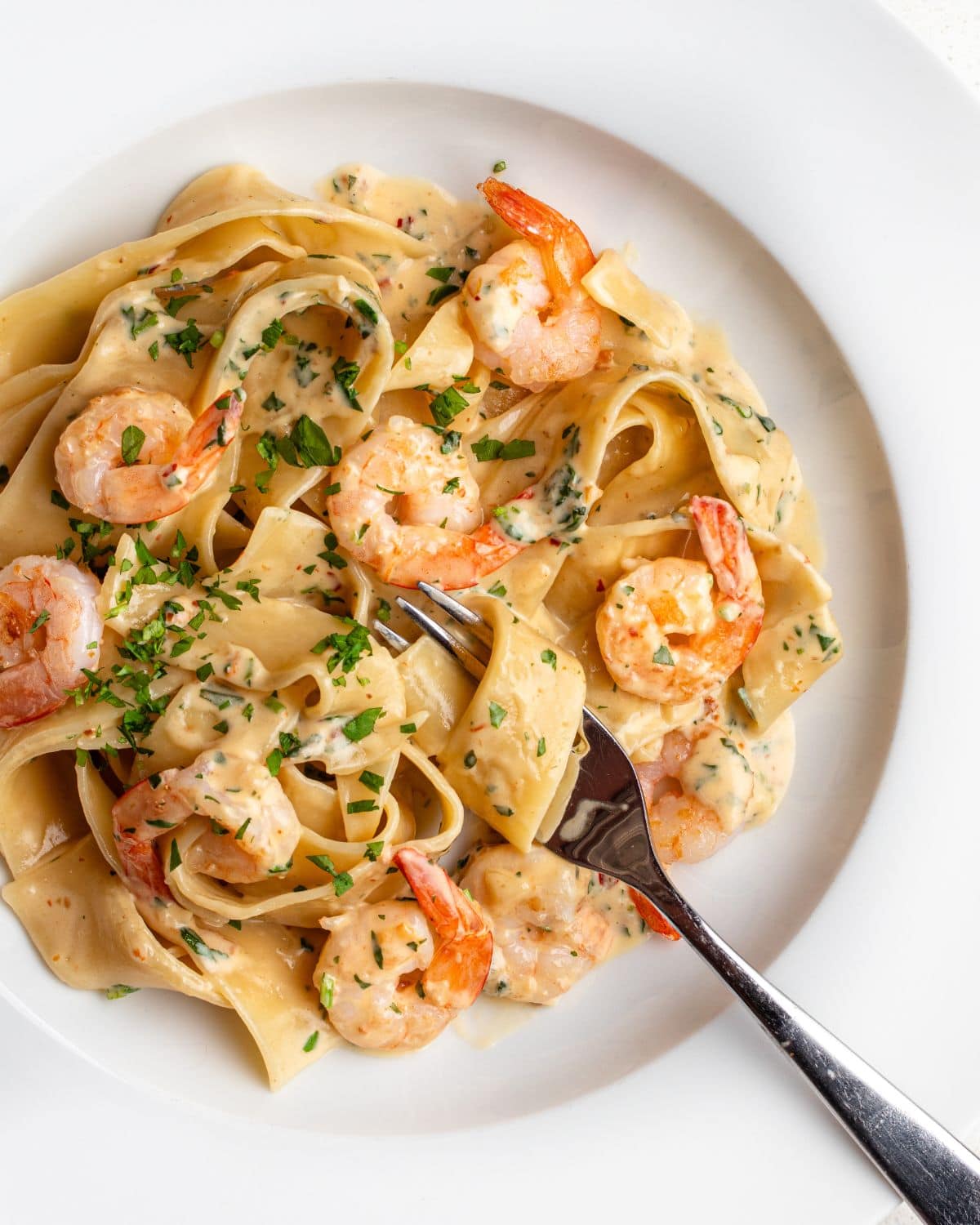 White plate with pappardelle pasta in a creamy shrimp pasta sauce. Fork resting in with noodles wrapped around it.