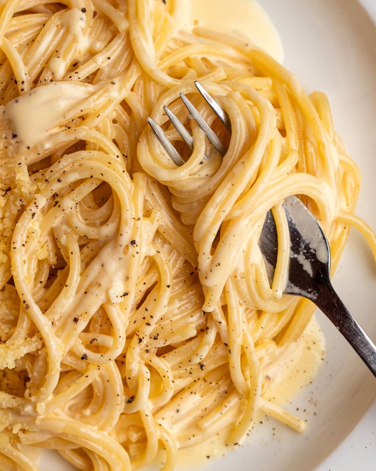 Finished noodles wrapped around a fork.