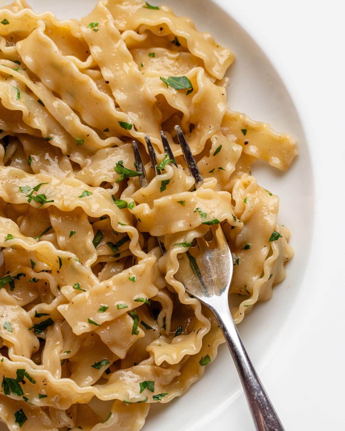 White plate with anchovy pasta wrapped around a fork. Chopped parsley on top.