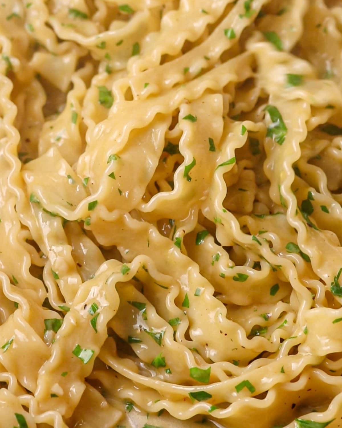 Malfadine pasta noodles mixed into the ancgovy sauce with parsley mixed through.