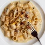 White plate with rigatoni pasta in a creamy gorgonzola sauce. Walnuts and lemon zest on top.