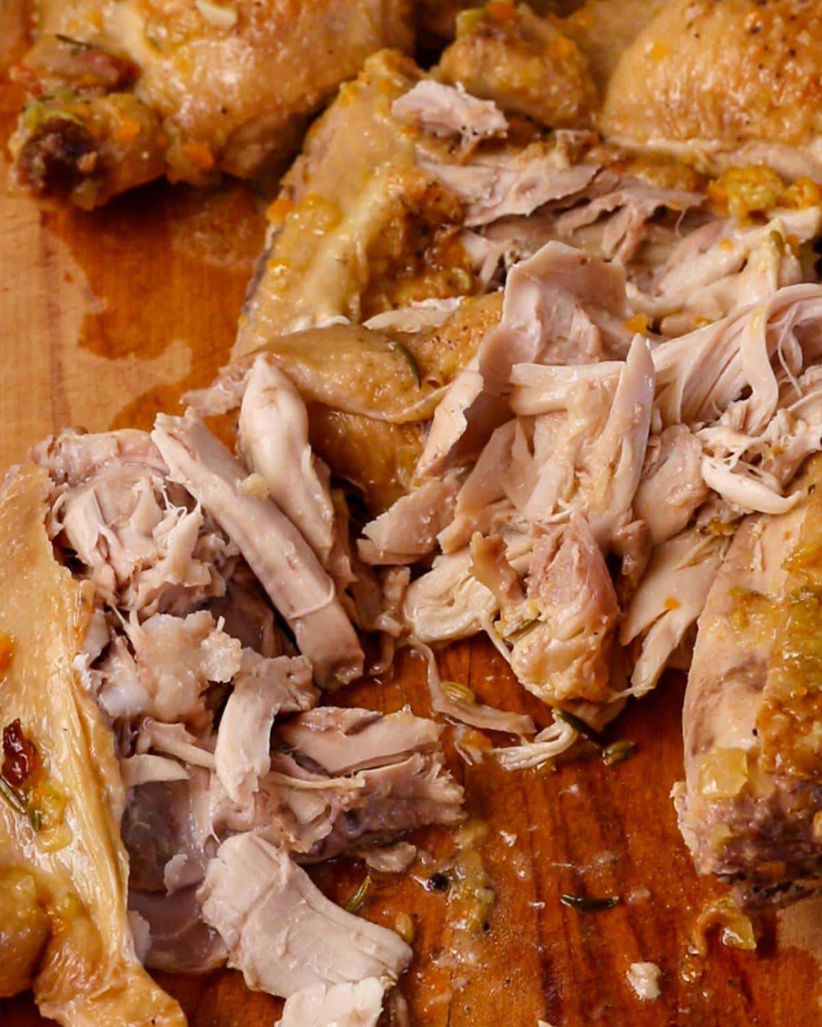Tender braised chicken thighs shredded after cooking in the oven.